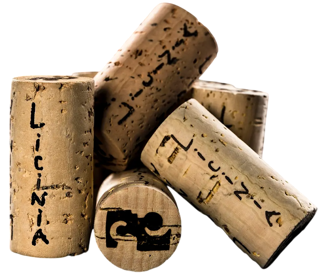 imagen de corcho de vino licinia