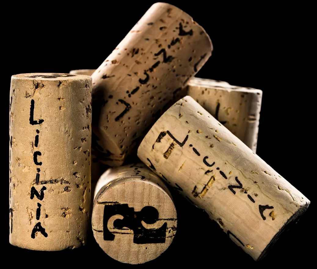 imagen de corcho de vino licinia