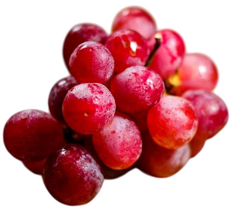 imagen de corcho de vino licinia